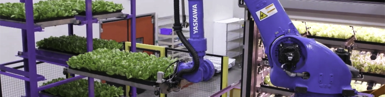 Top Robot Industries to Watch in 2024